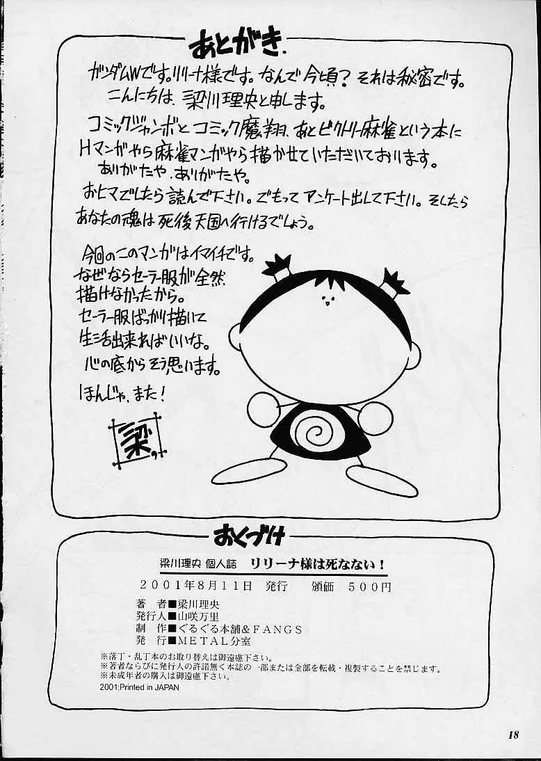 Page 17
