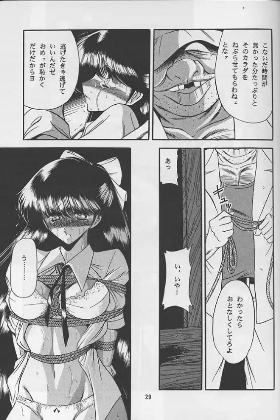 Page 27