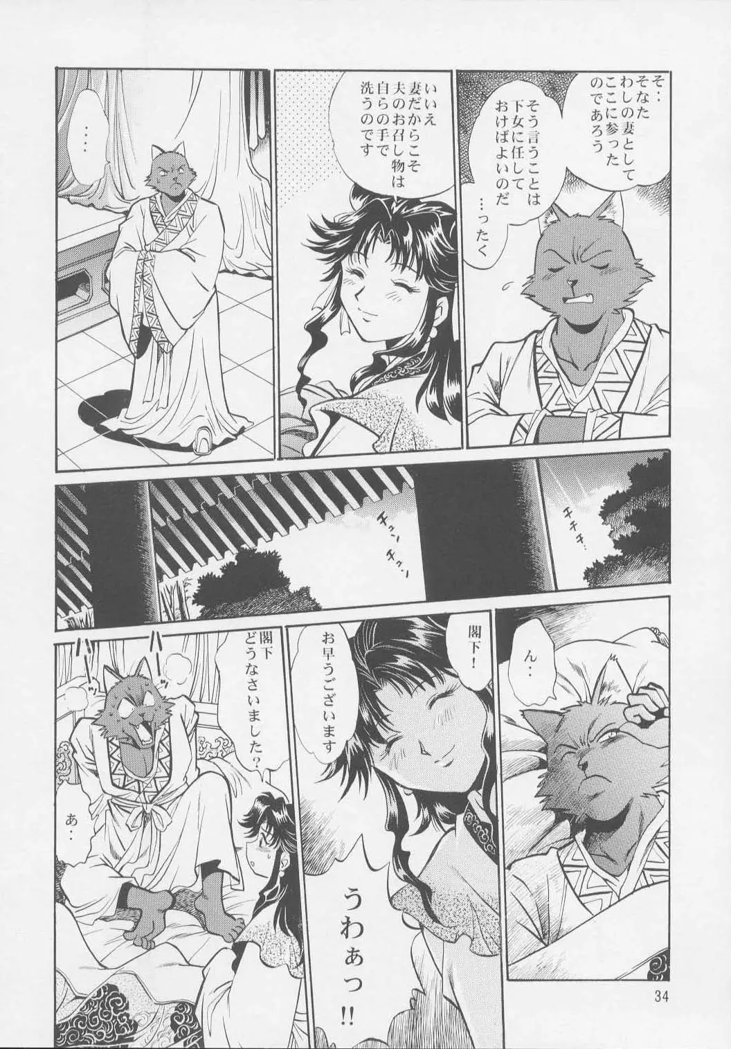 Page 33