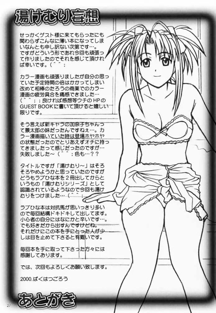 Page 26