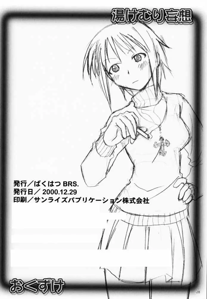 Page 27