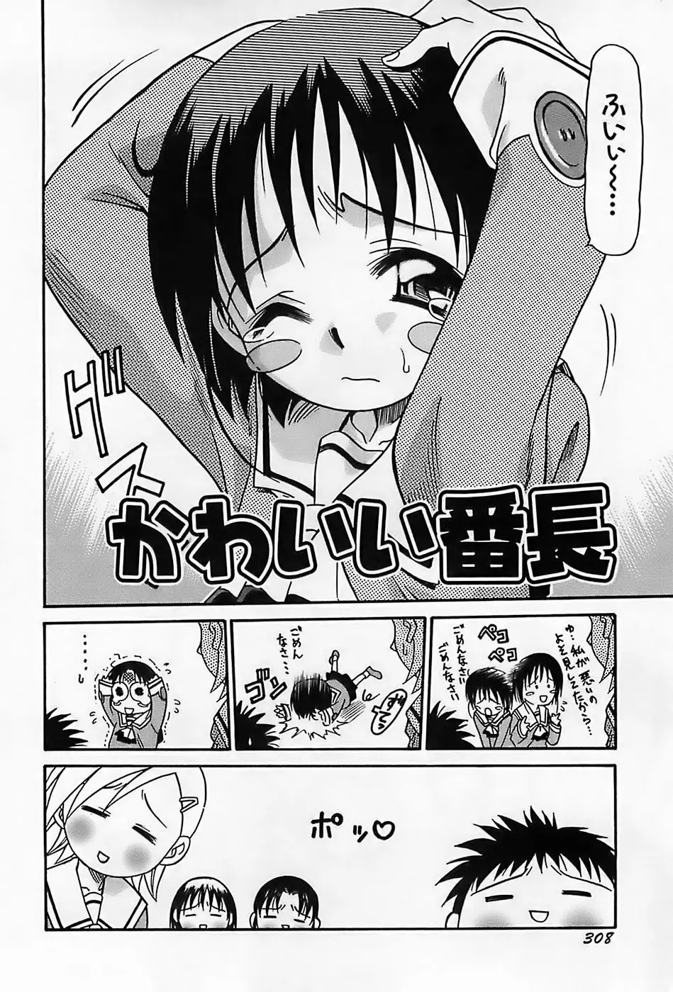Page 311