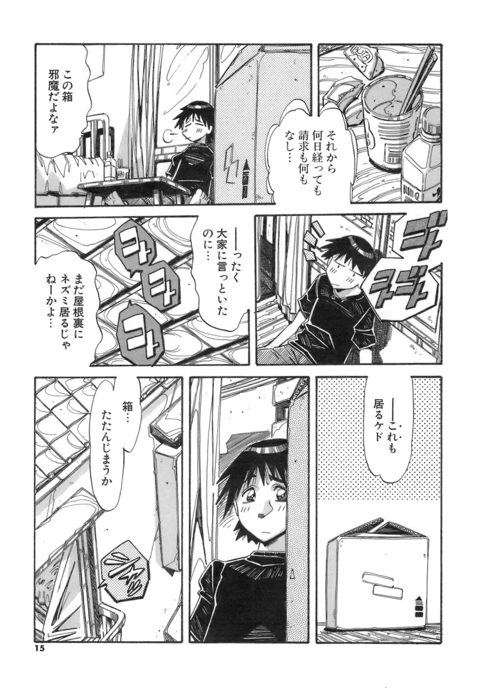 Page 15