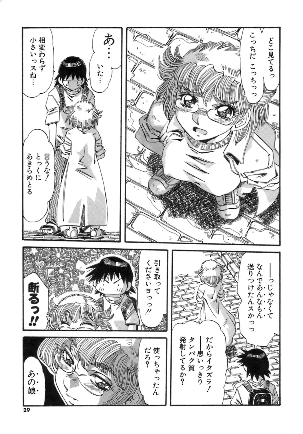 Page 29