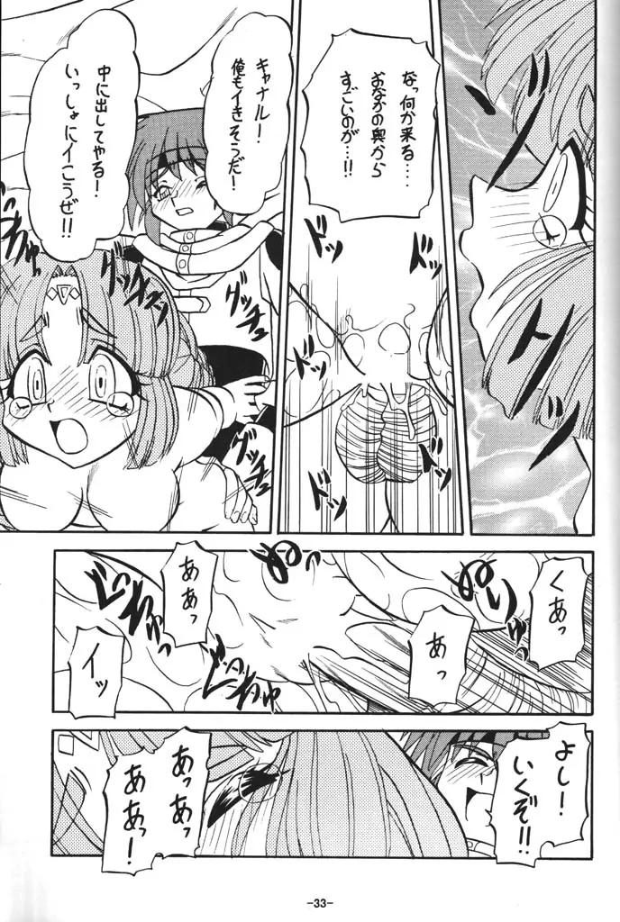 Page 33