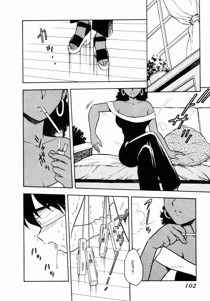 Page 101