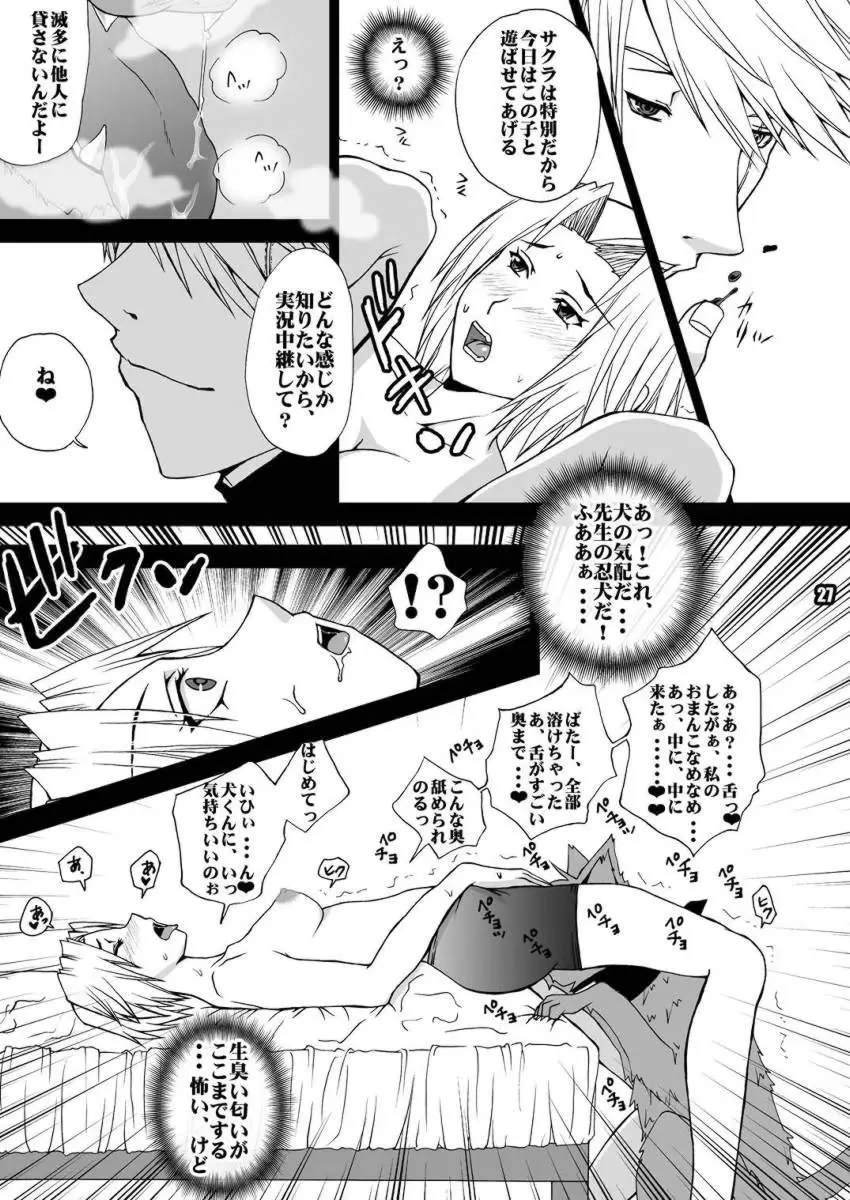 Page 27
