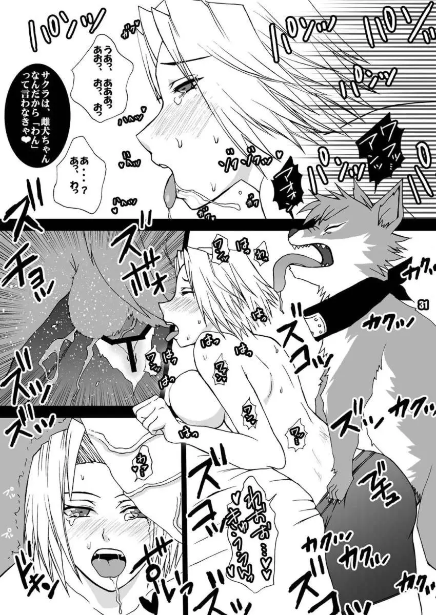 Page 31