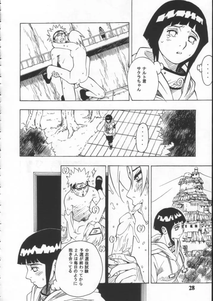 Page 27