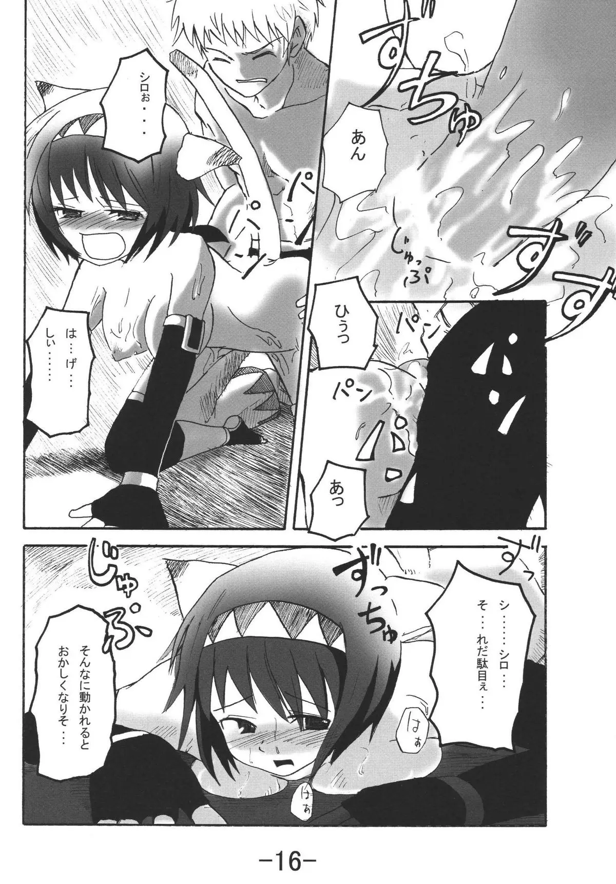 Page 16