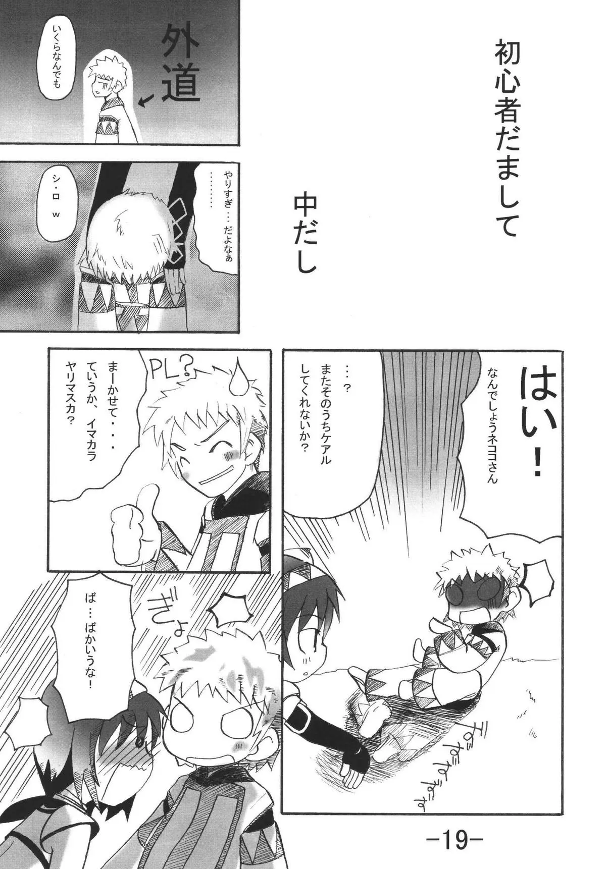 Page 19