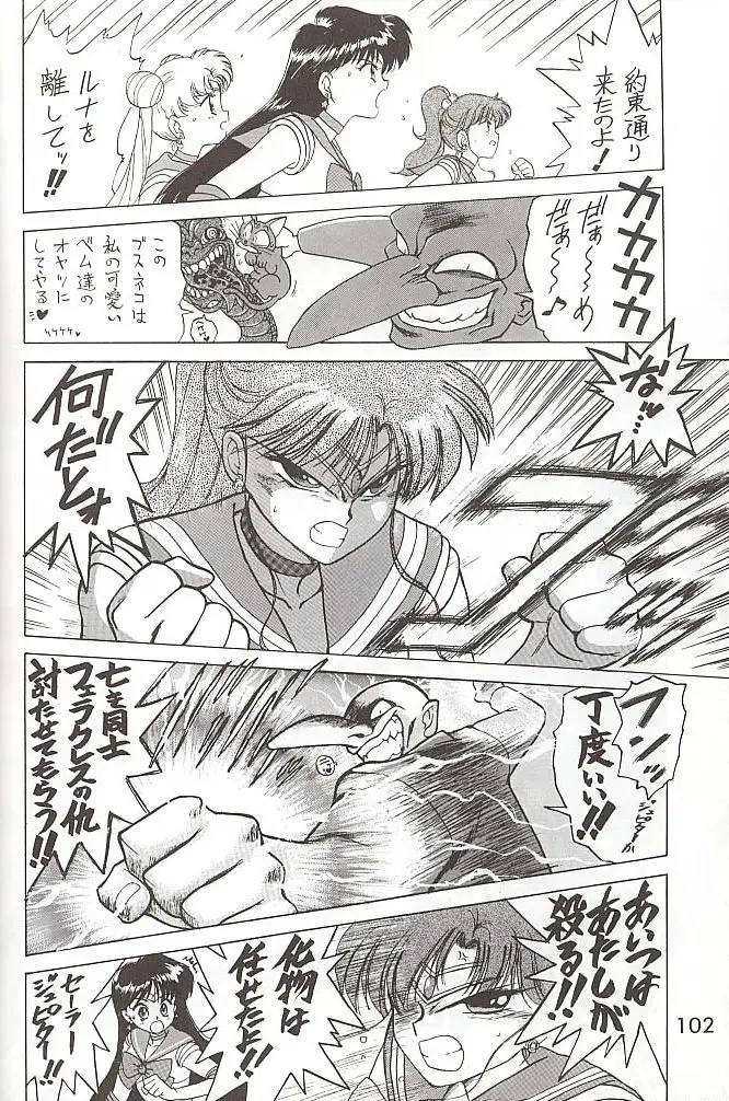 Page 101