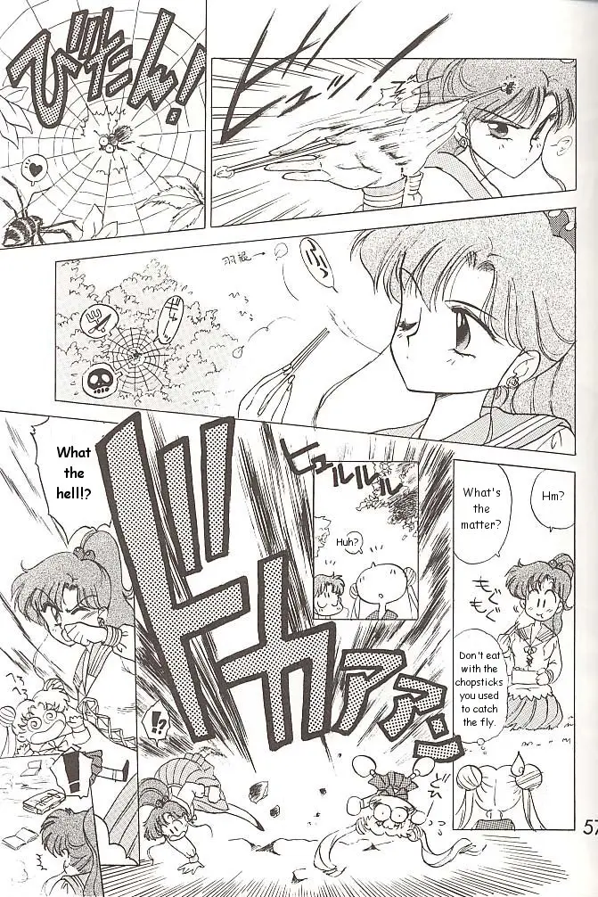 Page 56