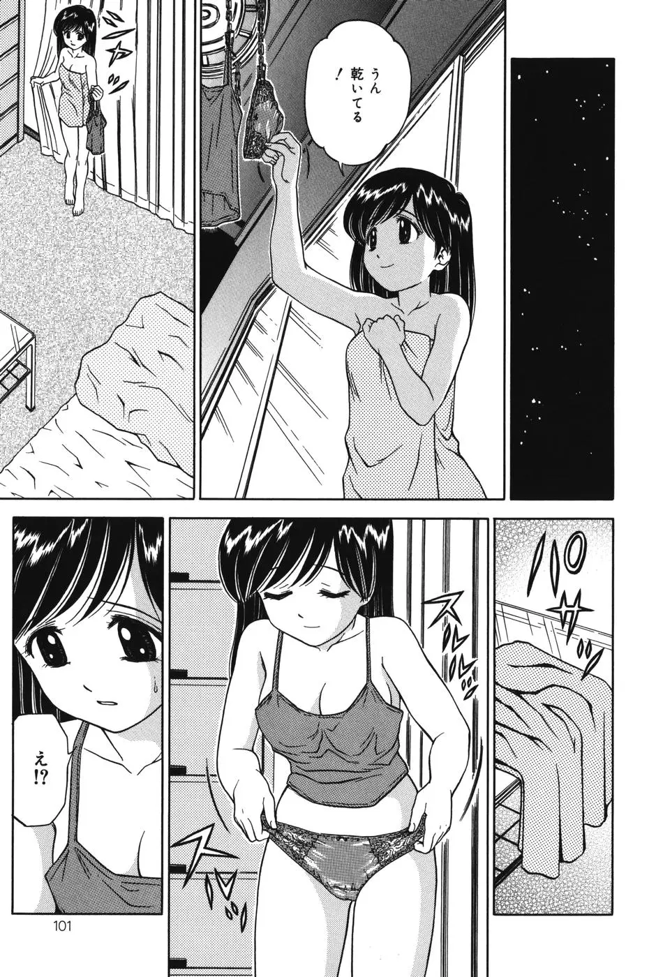 Page 101