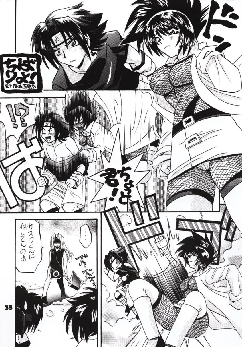 Page 33
