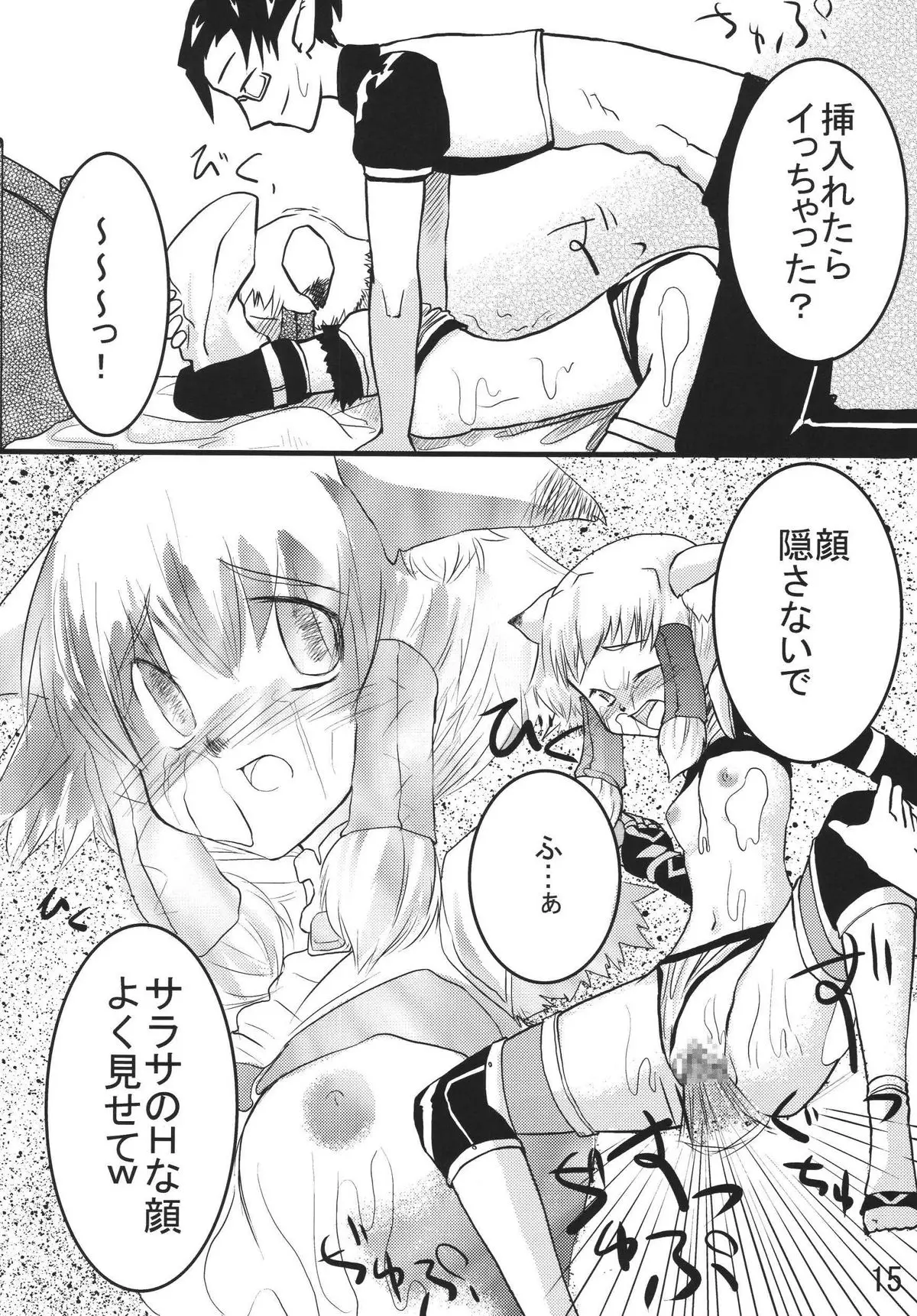 Page 15