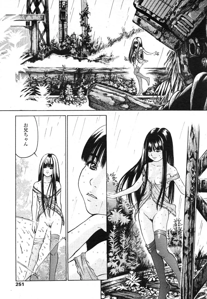 Page 251