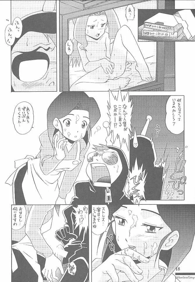 Page 17