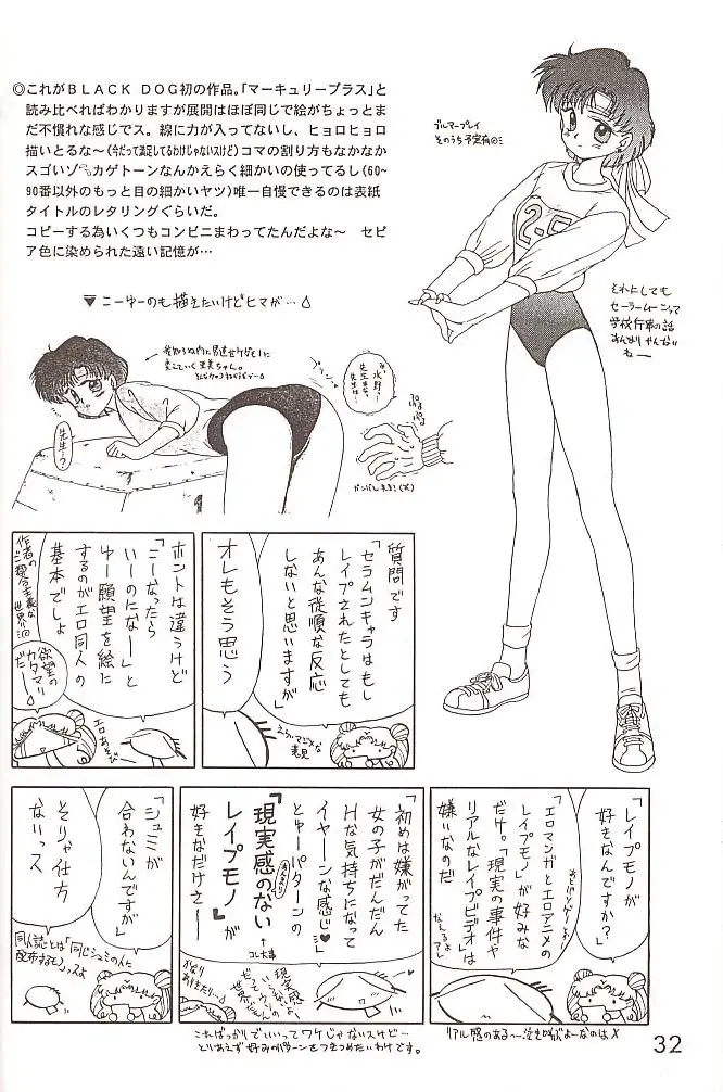 Page 31