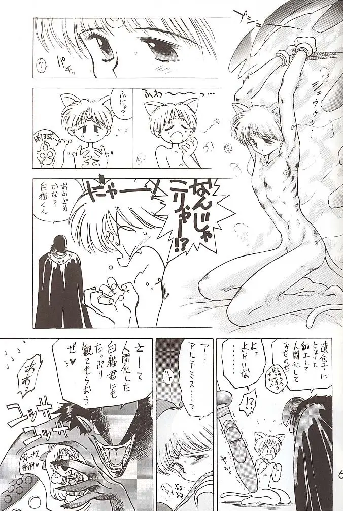Page 62