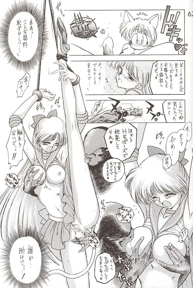 Page 66