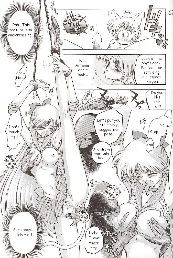 Page 66