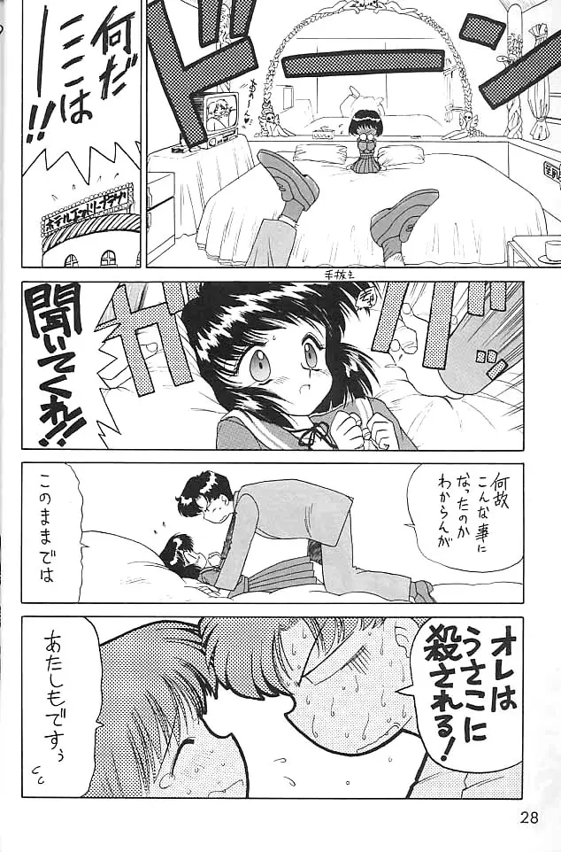 Page 27