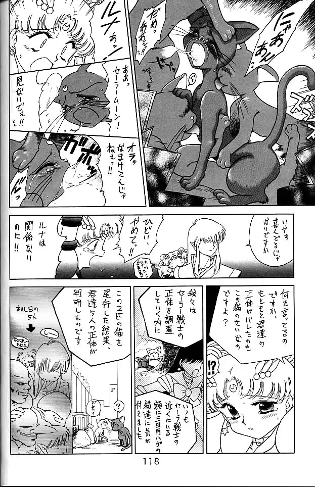Page 117