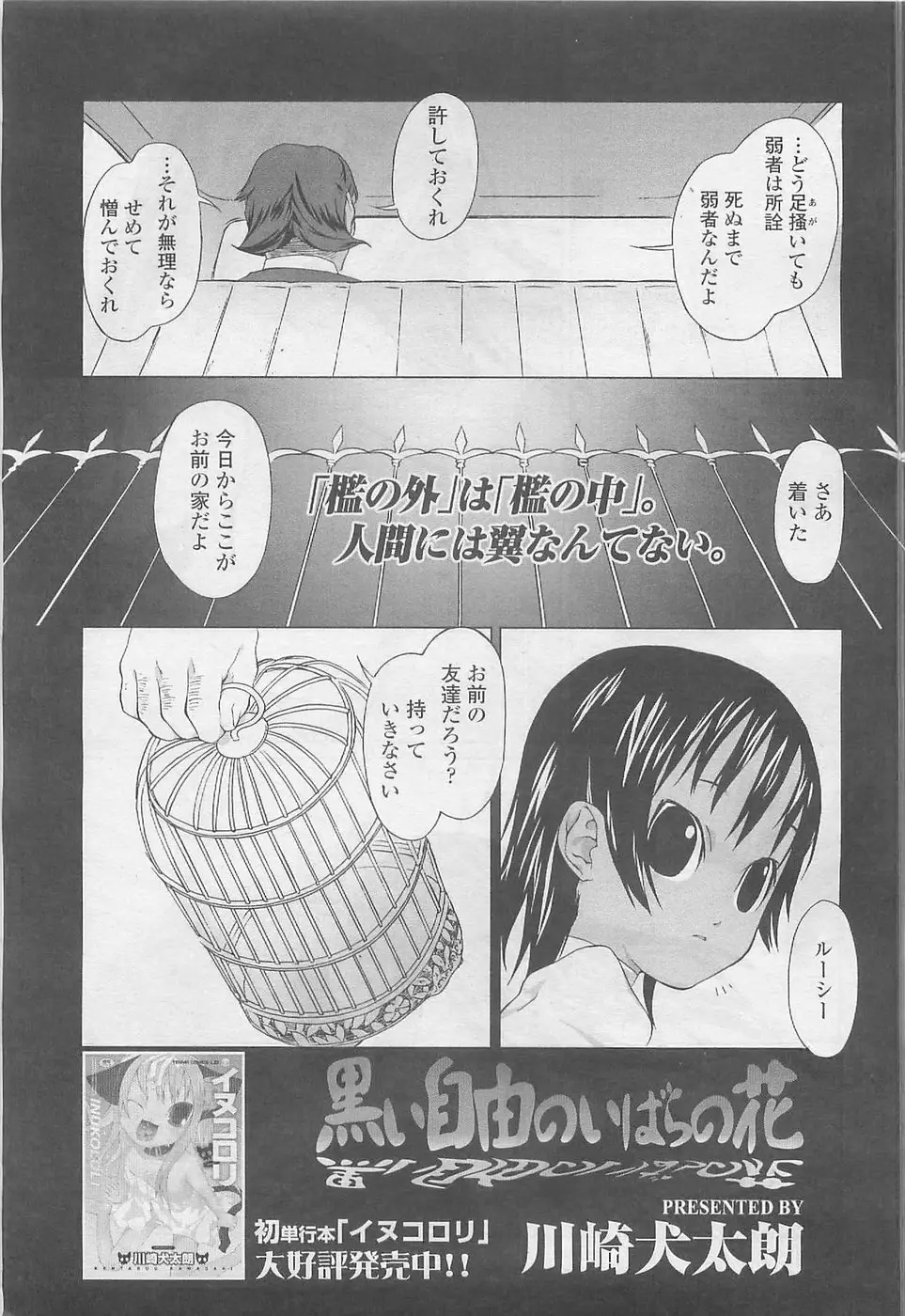 Page 247