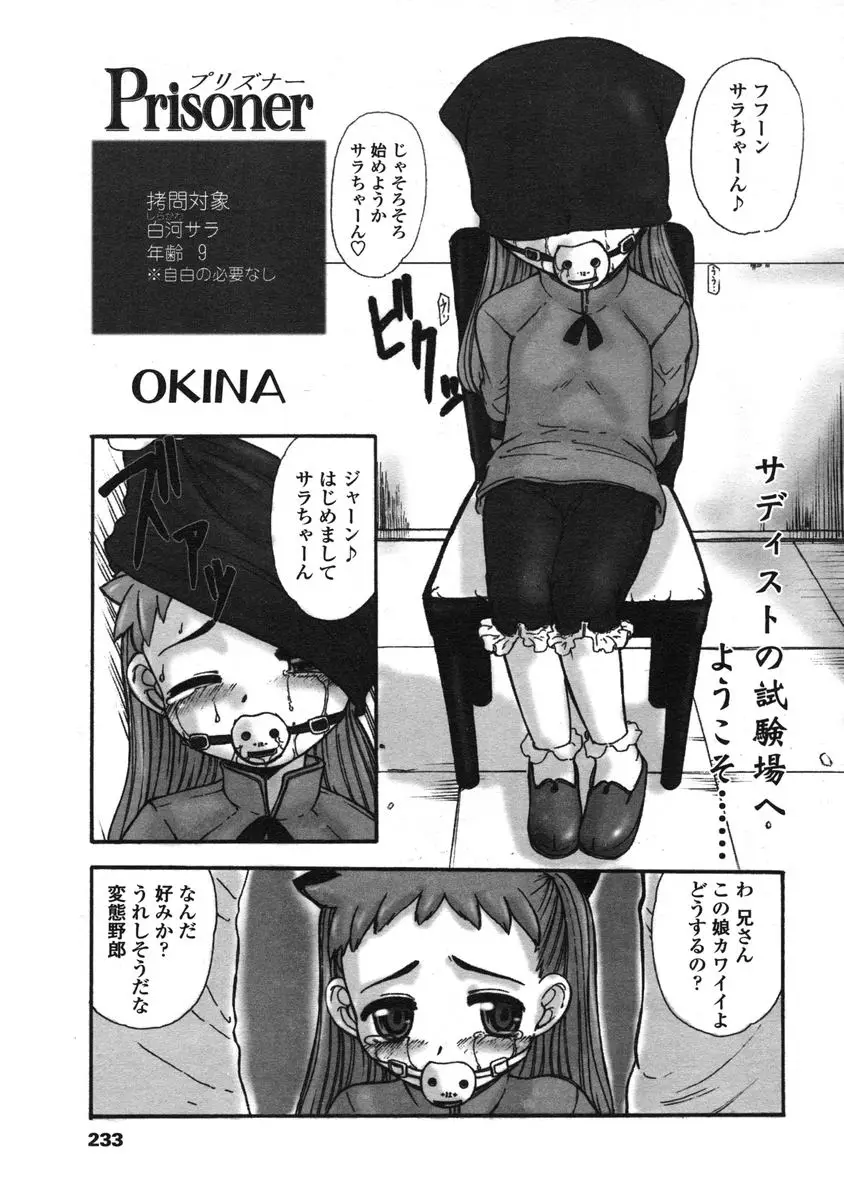 Page 233