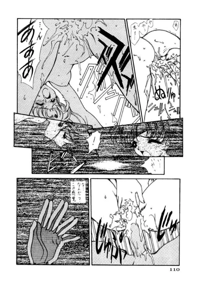 Page 111