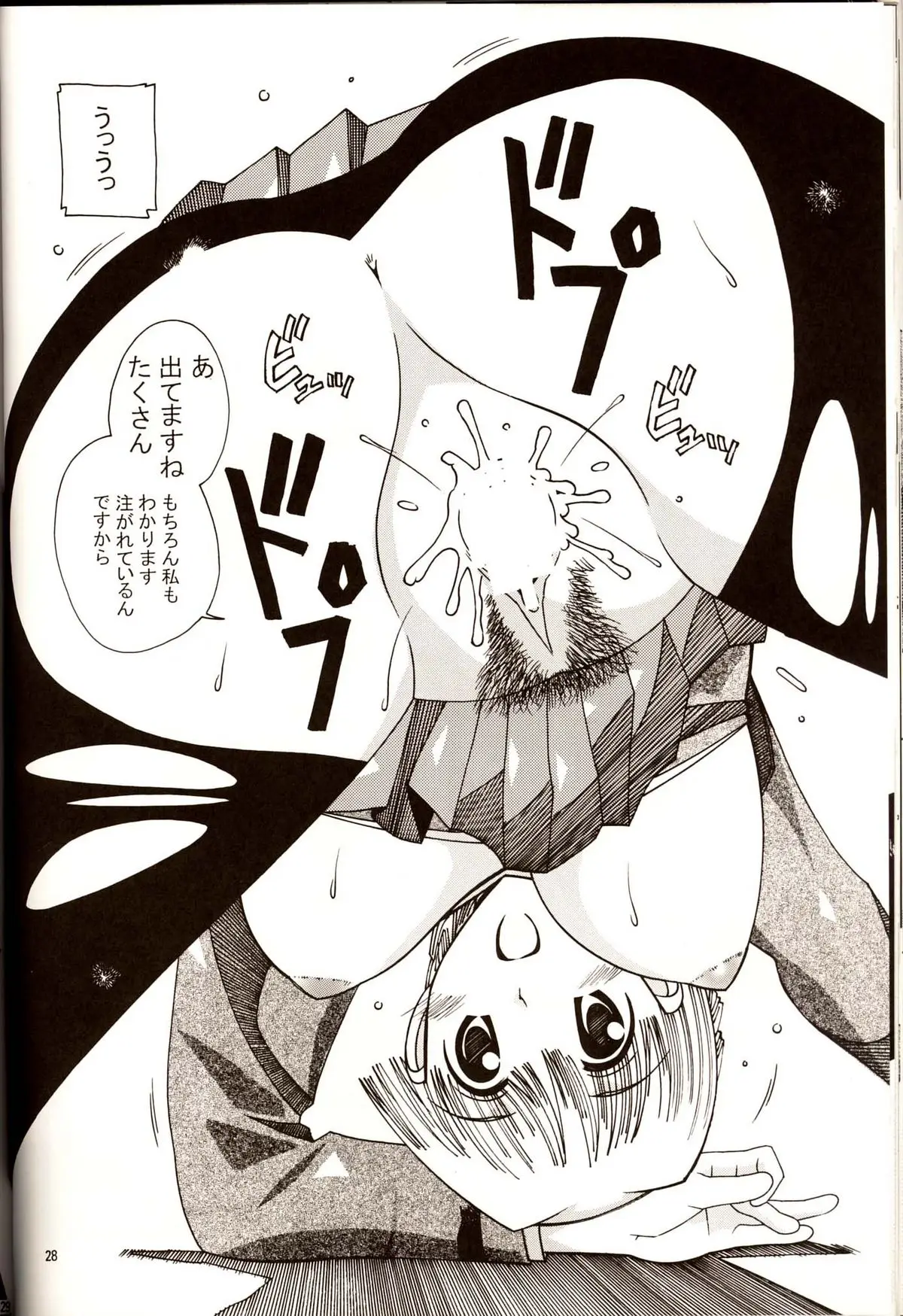 Page 27