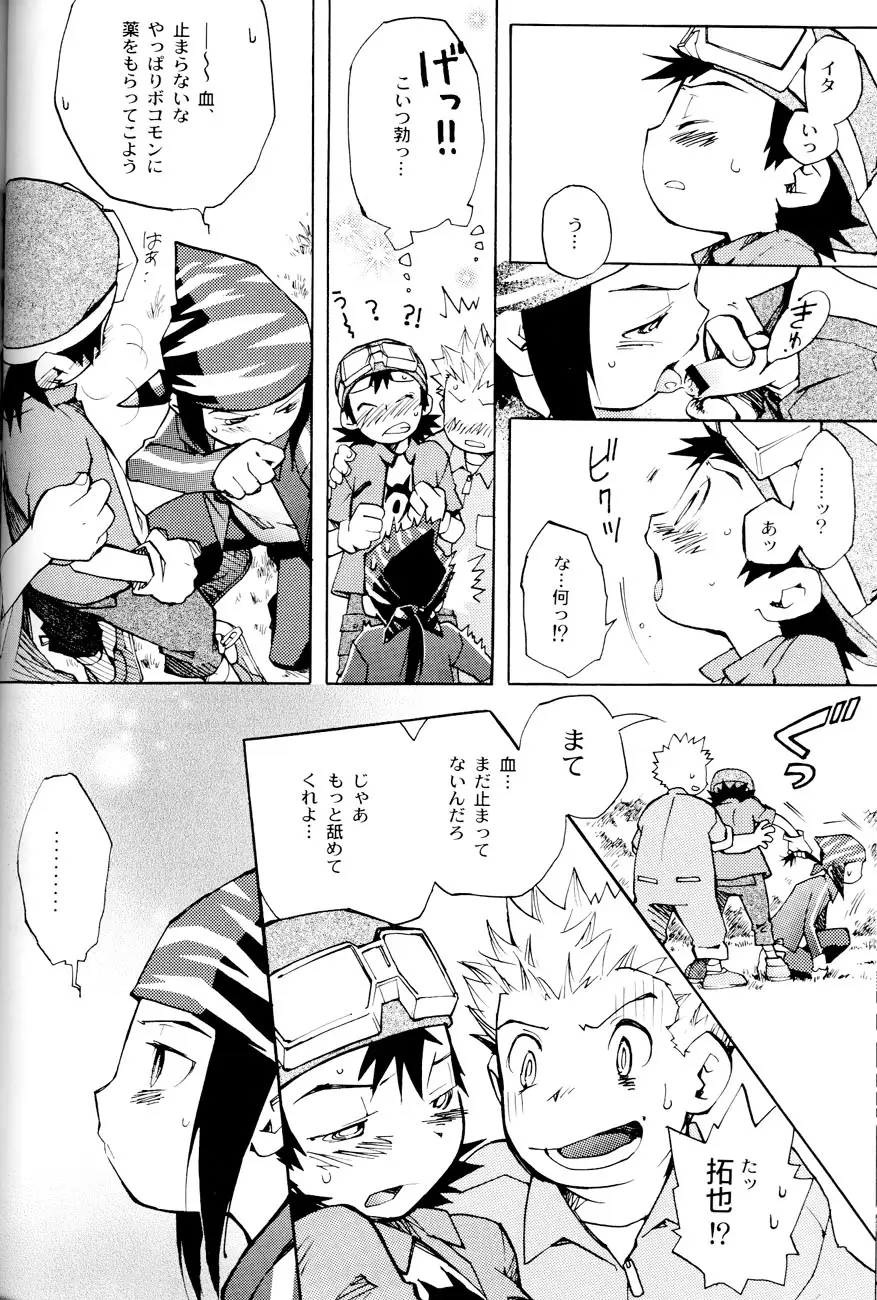 Page 29