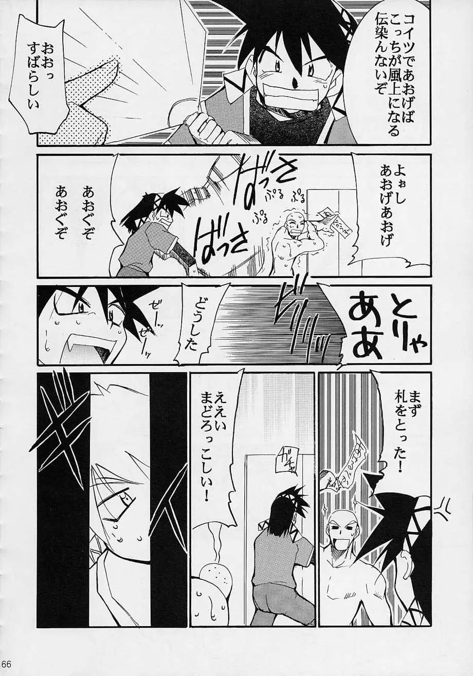 Page 65