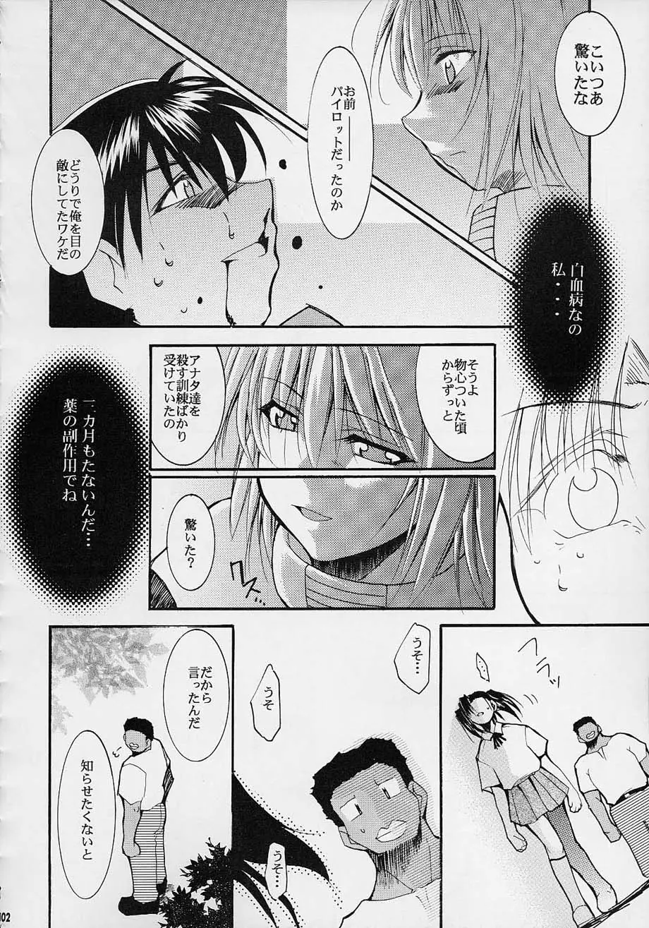 Page 101