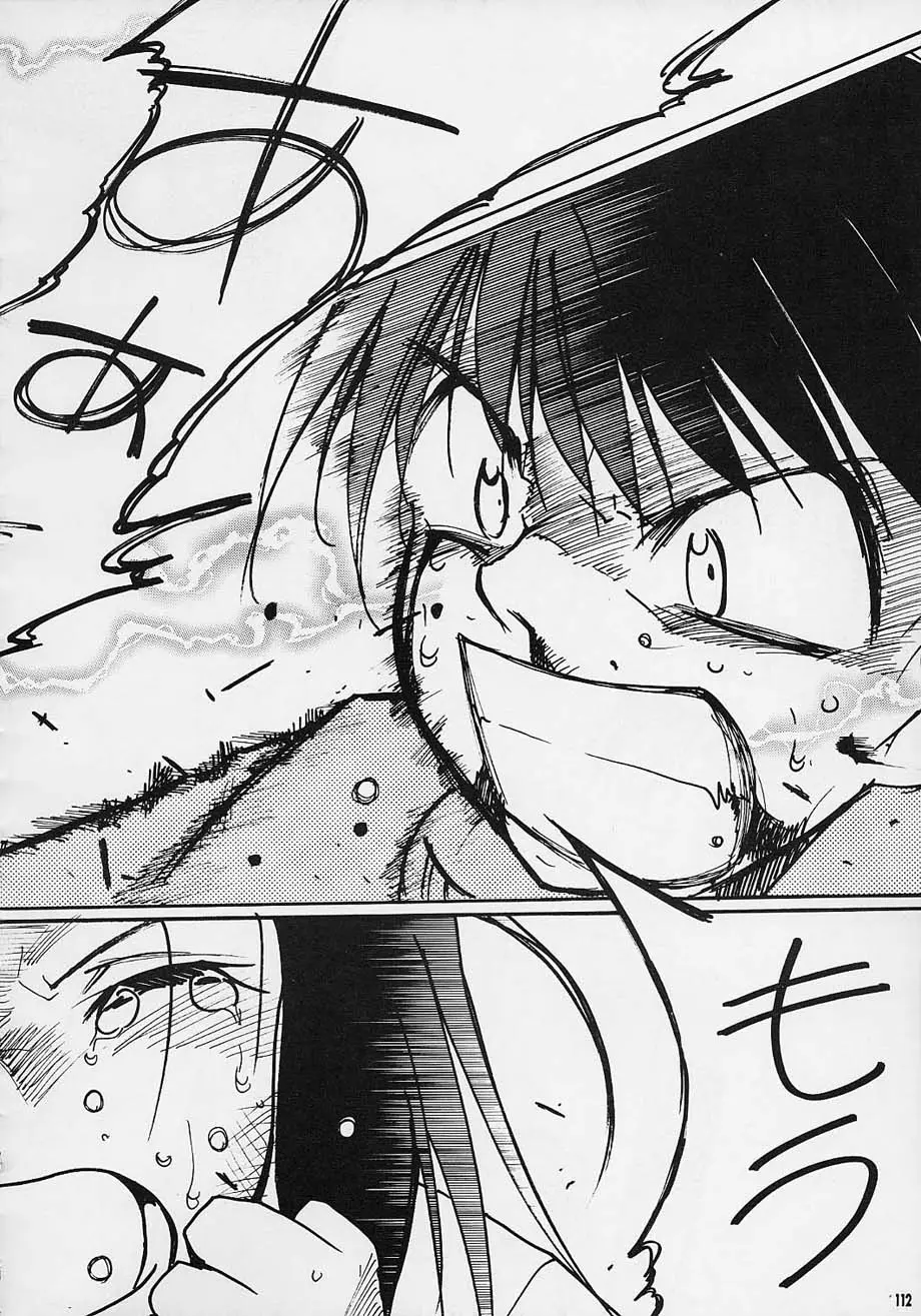 Page 111
