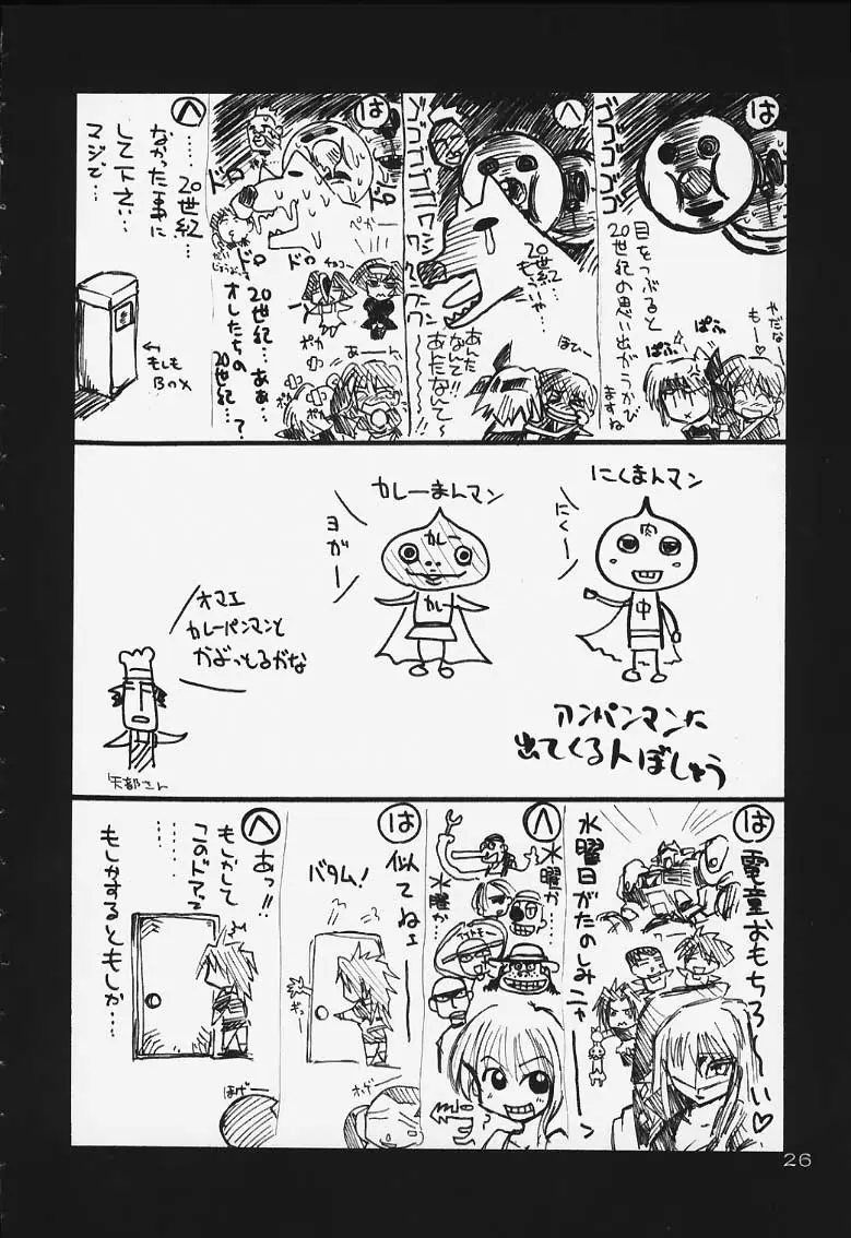 Page 25