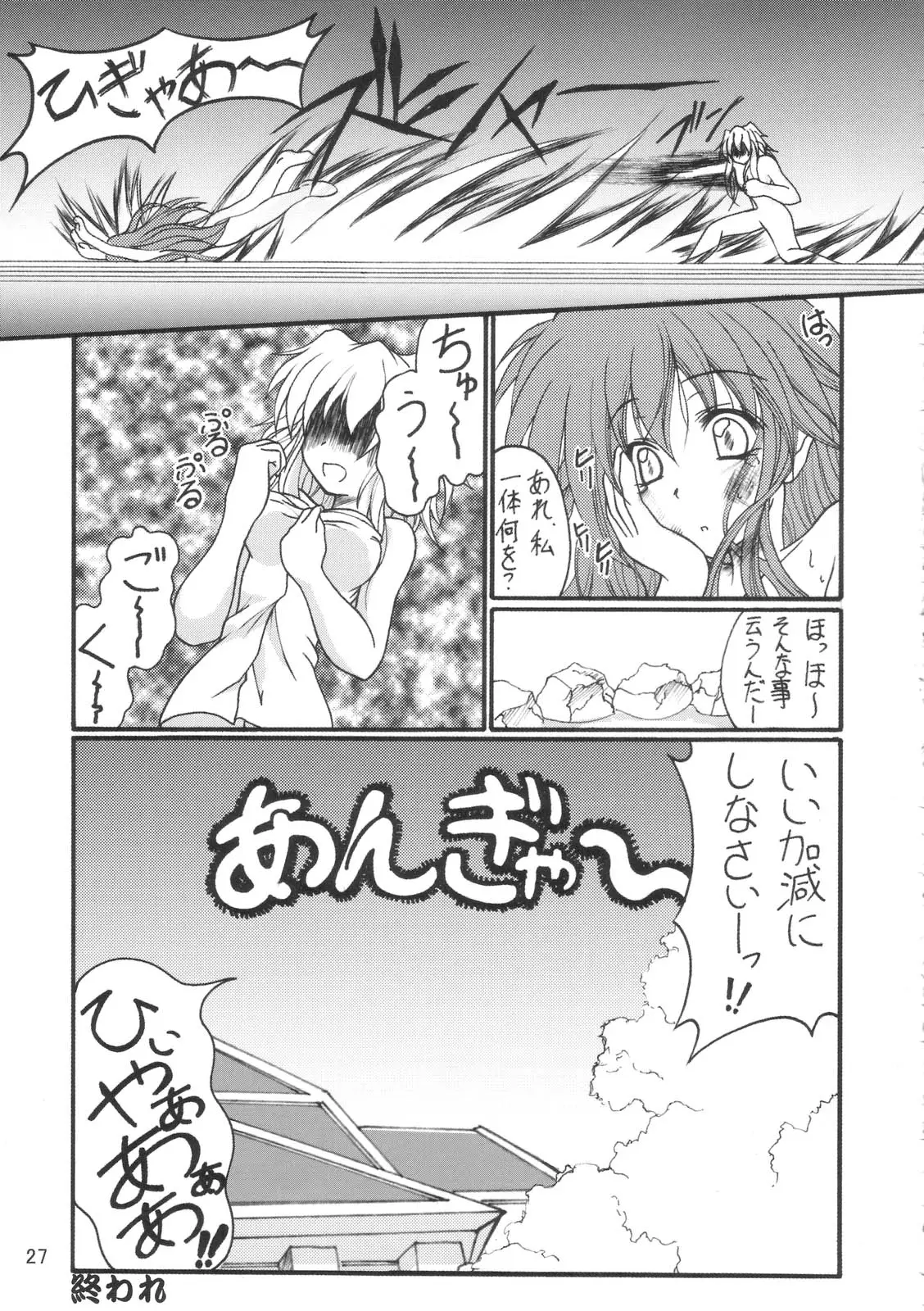 Page 26