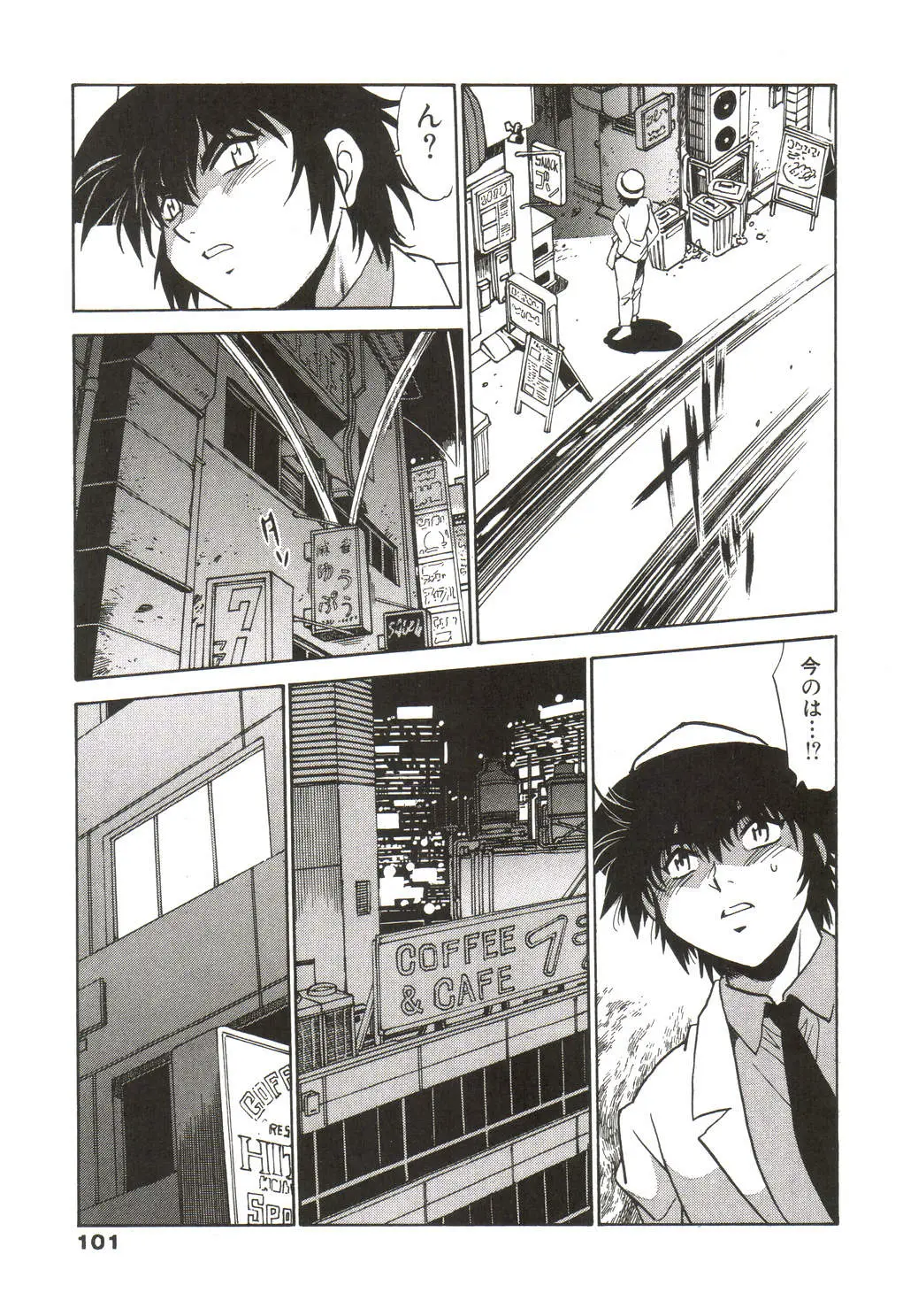 Page 102