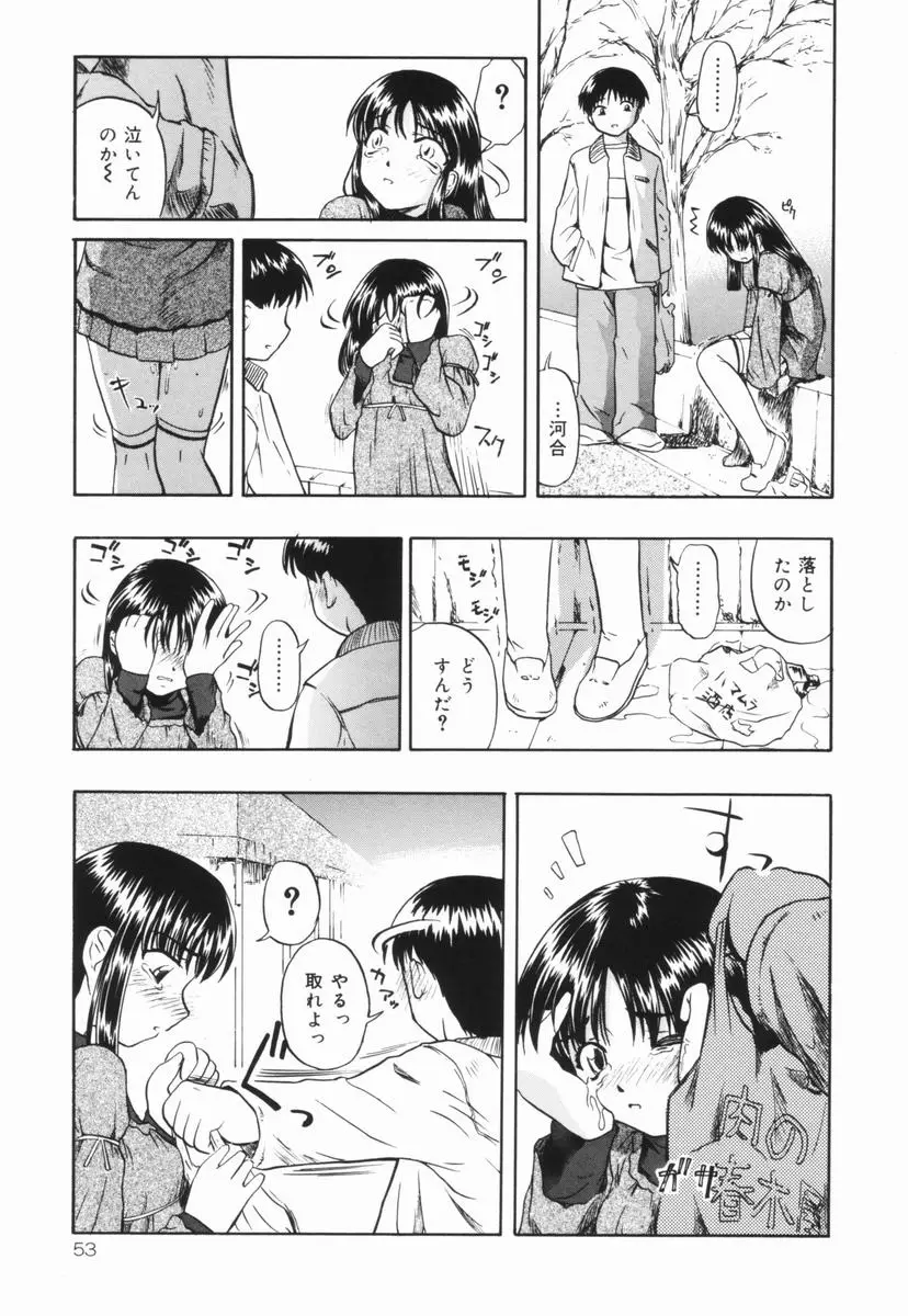 Page 54