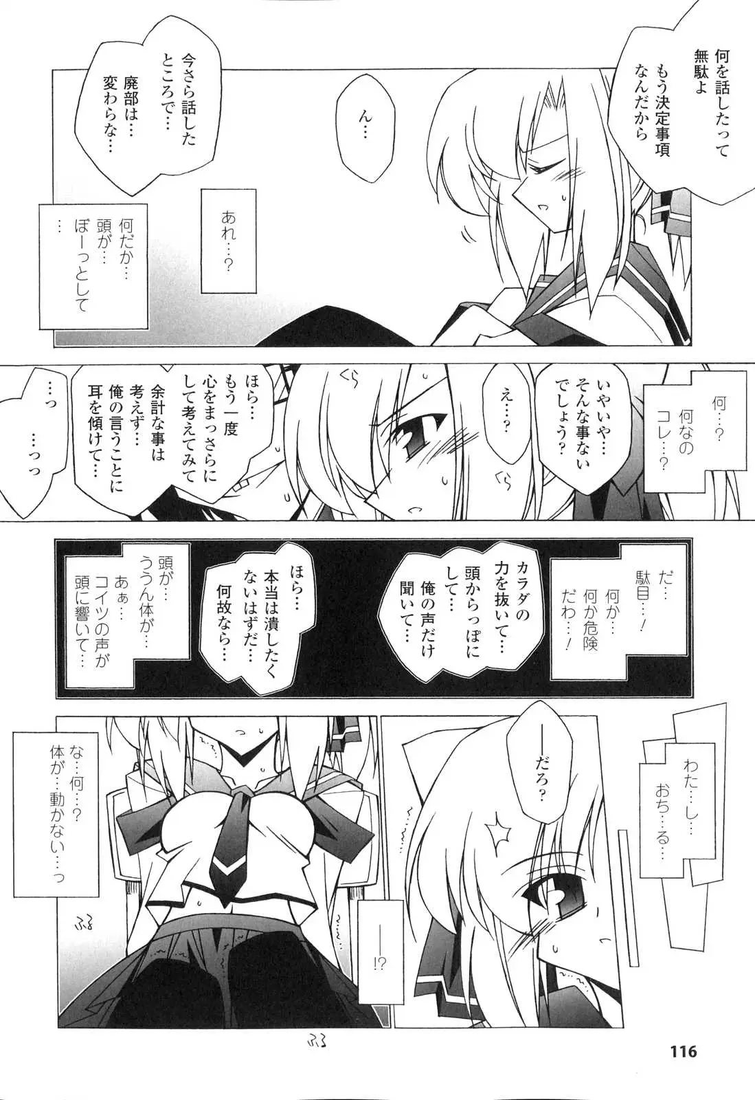 Page 117