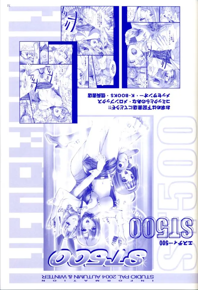 Page 31