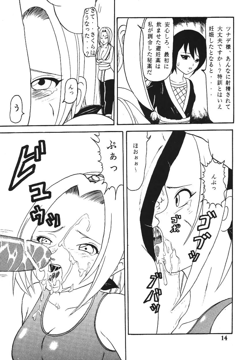Page 13