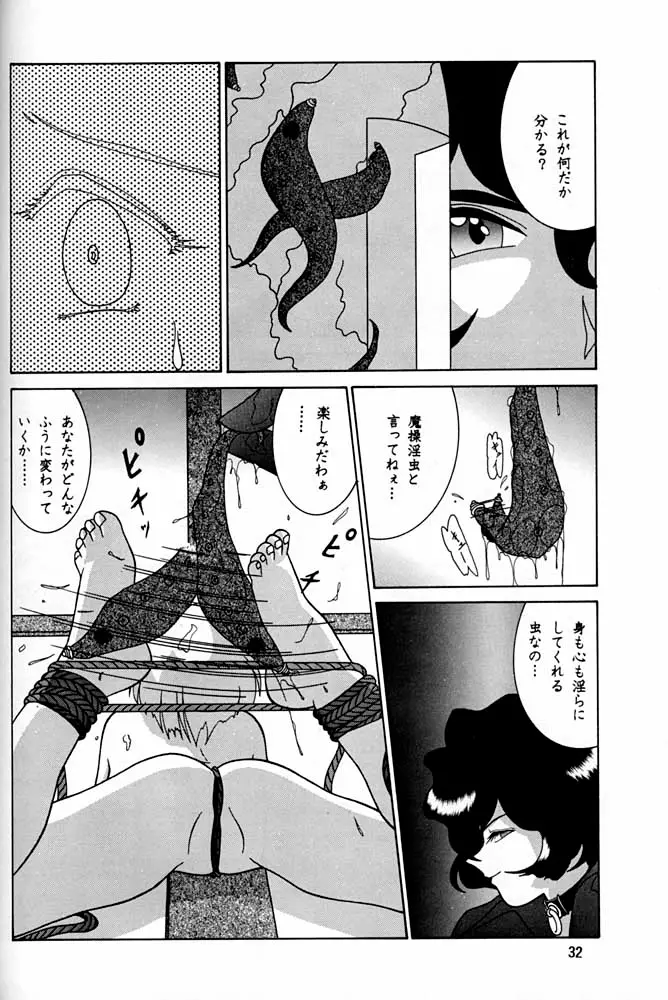 Page 31