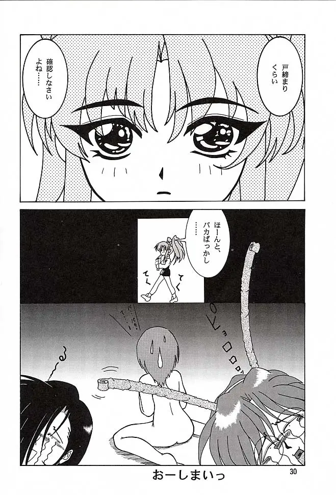 Page 29