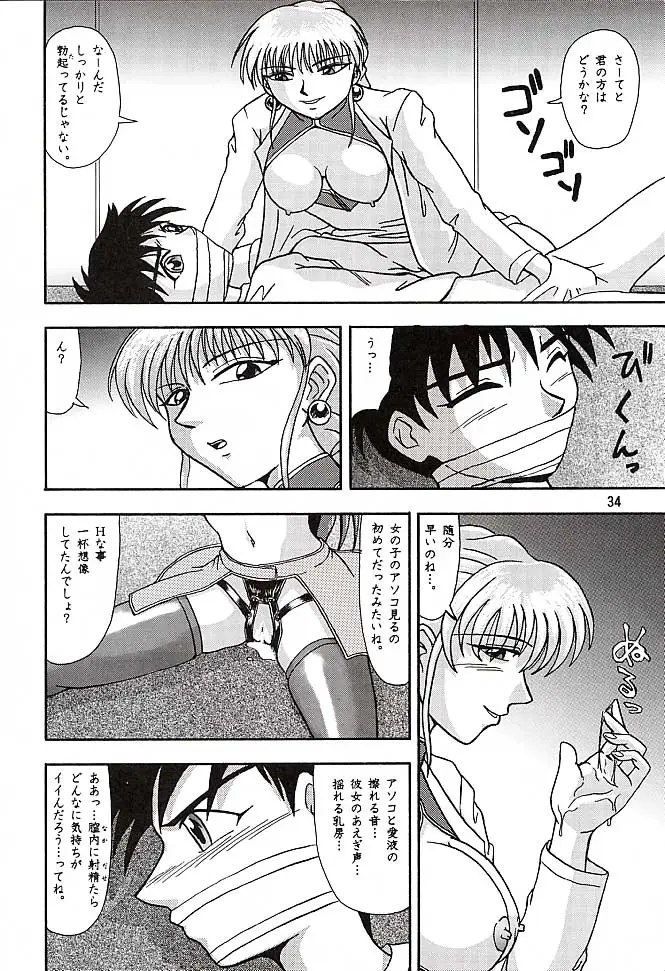 Page 33