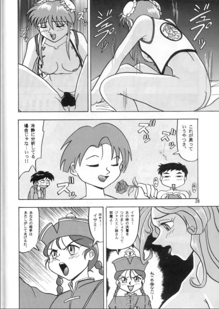 Page 27