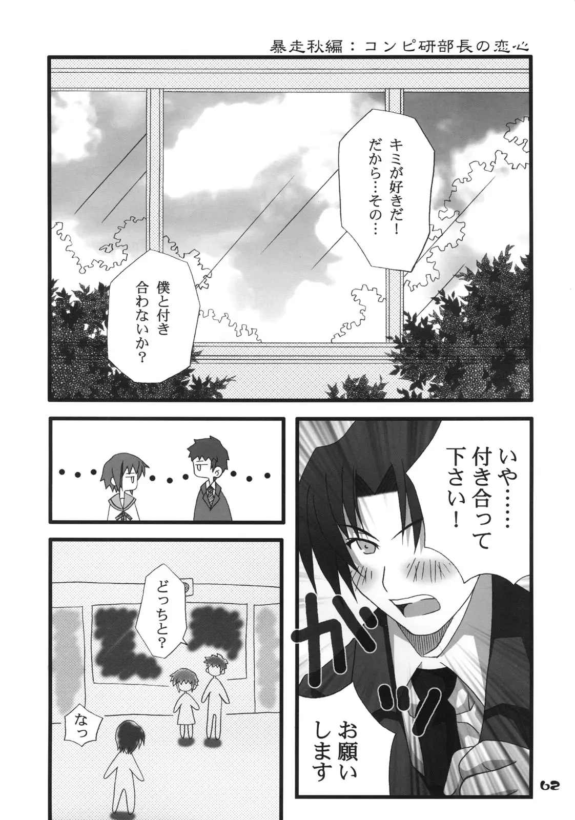 Page 61