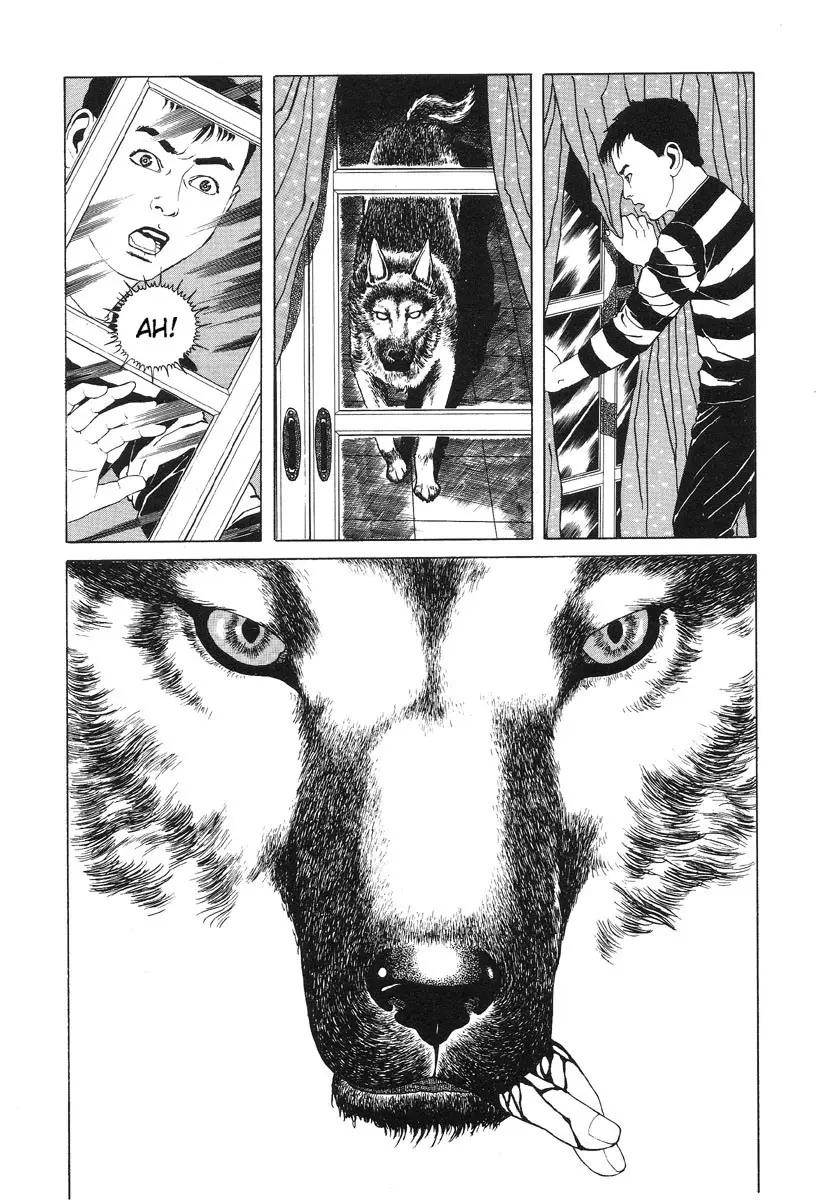 Page 84