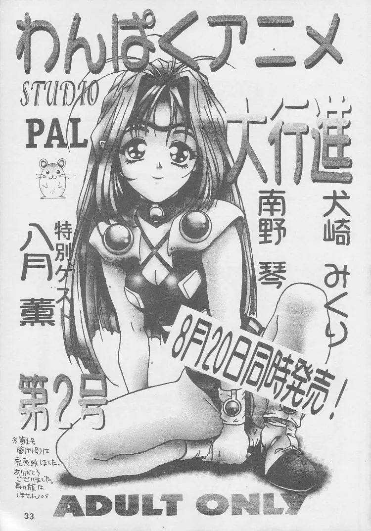 Page 33